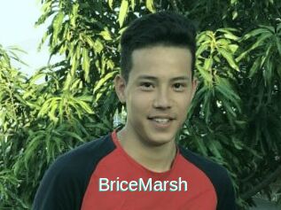 BriceMarsh