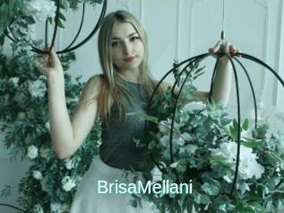 BrisaMellani