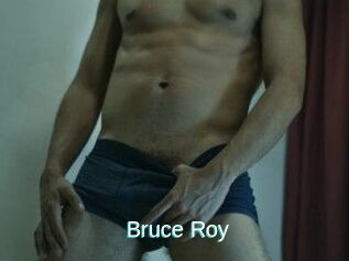 Bruce_Roy