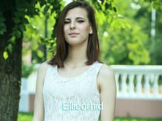 Ellieorhid