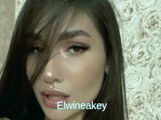 Elwineakey