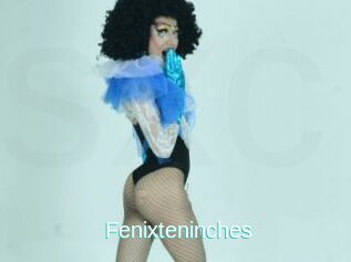 Fenixteninches