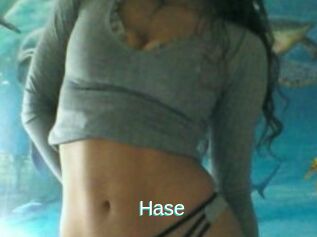 Hase