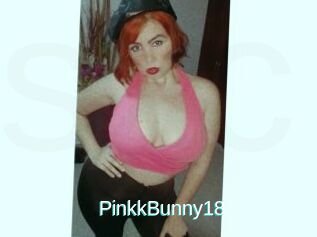 PinkkBunny18