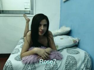 Rose7